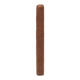 David's Choice Robusto